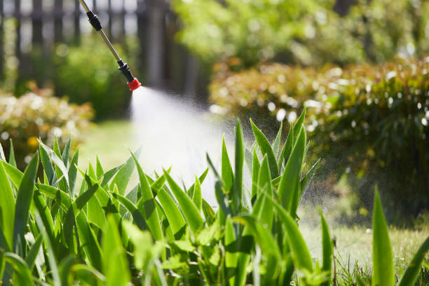 24/7 Emergency Wasp Removal experts in Andrews AFB, MD