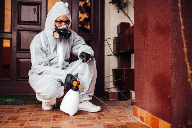 Reliable Wasp Removal contractor in Andrews AFB, MD by Show Me Pest Control